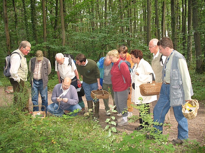 Myco Porte Baudet 12